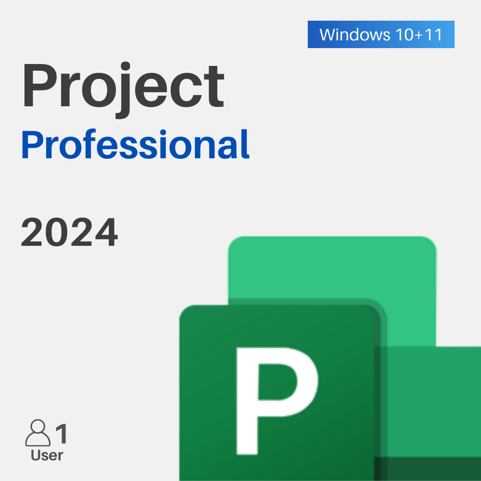 Project 2024 Professional